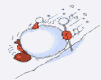 a27.gif