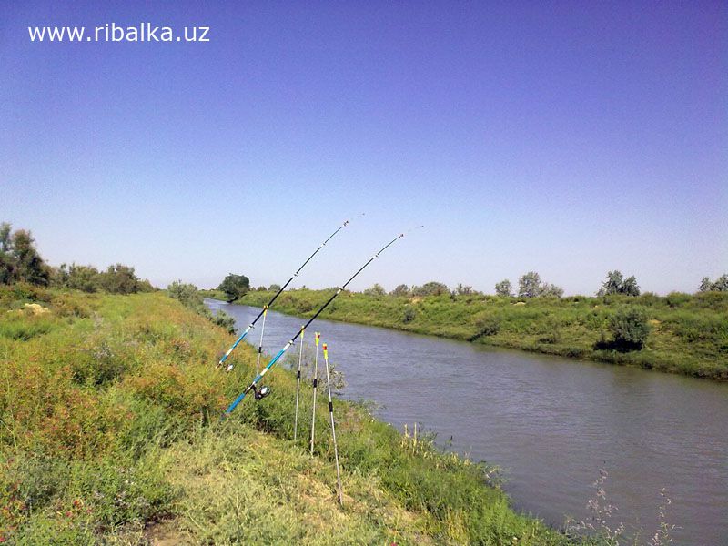 sarkisova1.jpg