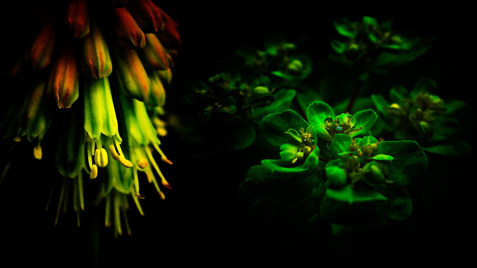 les_jardins_by_baspunk-d3hyptw.jpg