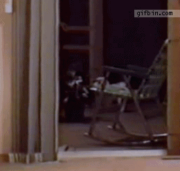 1307704766_dog_vs_screen_door.gif