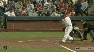 1307704817_catching_foul_ball_like_a_boss.gif
