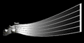msearch[1].gif