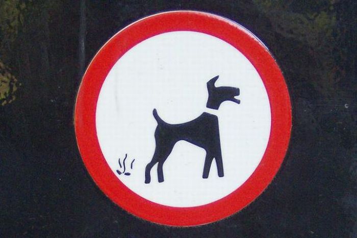 podborlH.jpg