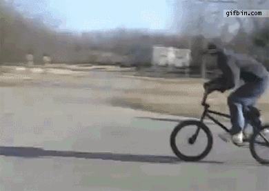 1309370245_biker_lands_in_tree.gif