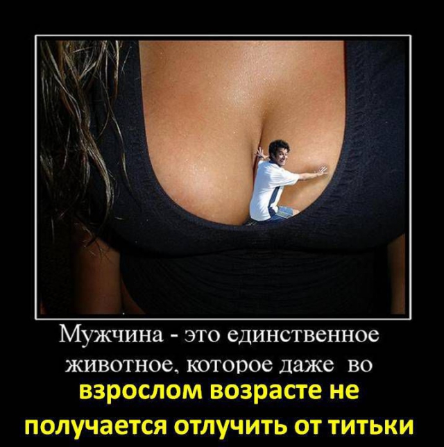 ziv.jpg