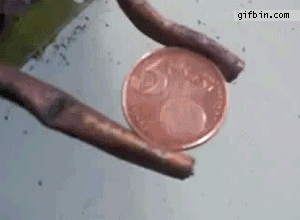 1316795961_electrocuting_a_coin.gif