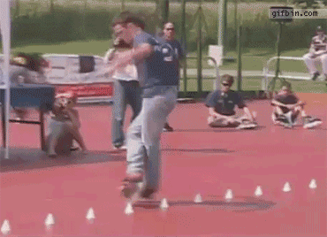 1316713939_cone_slalom_skating.gif