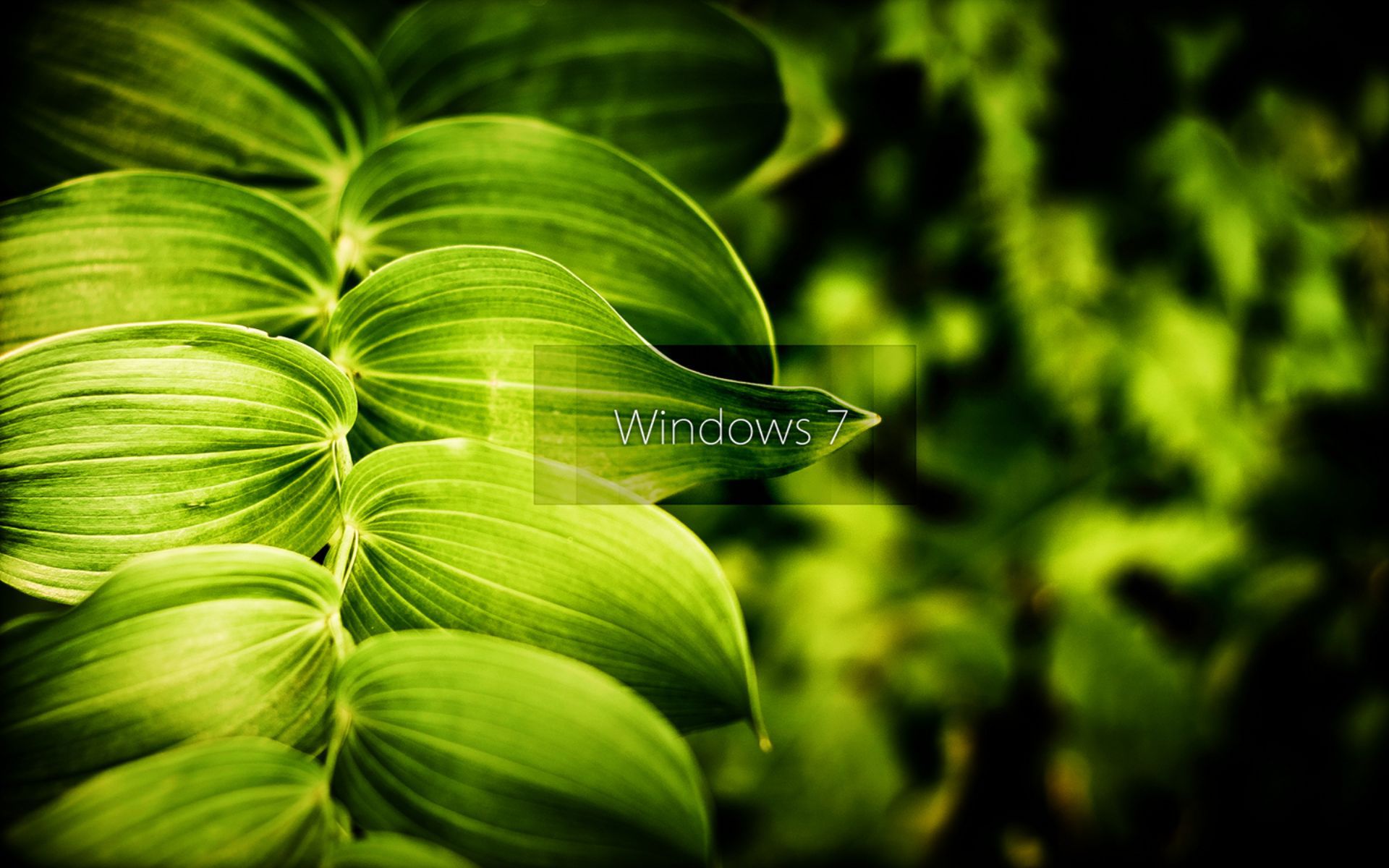Windows 7 (2).JPG