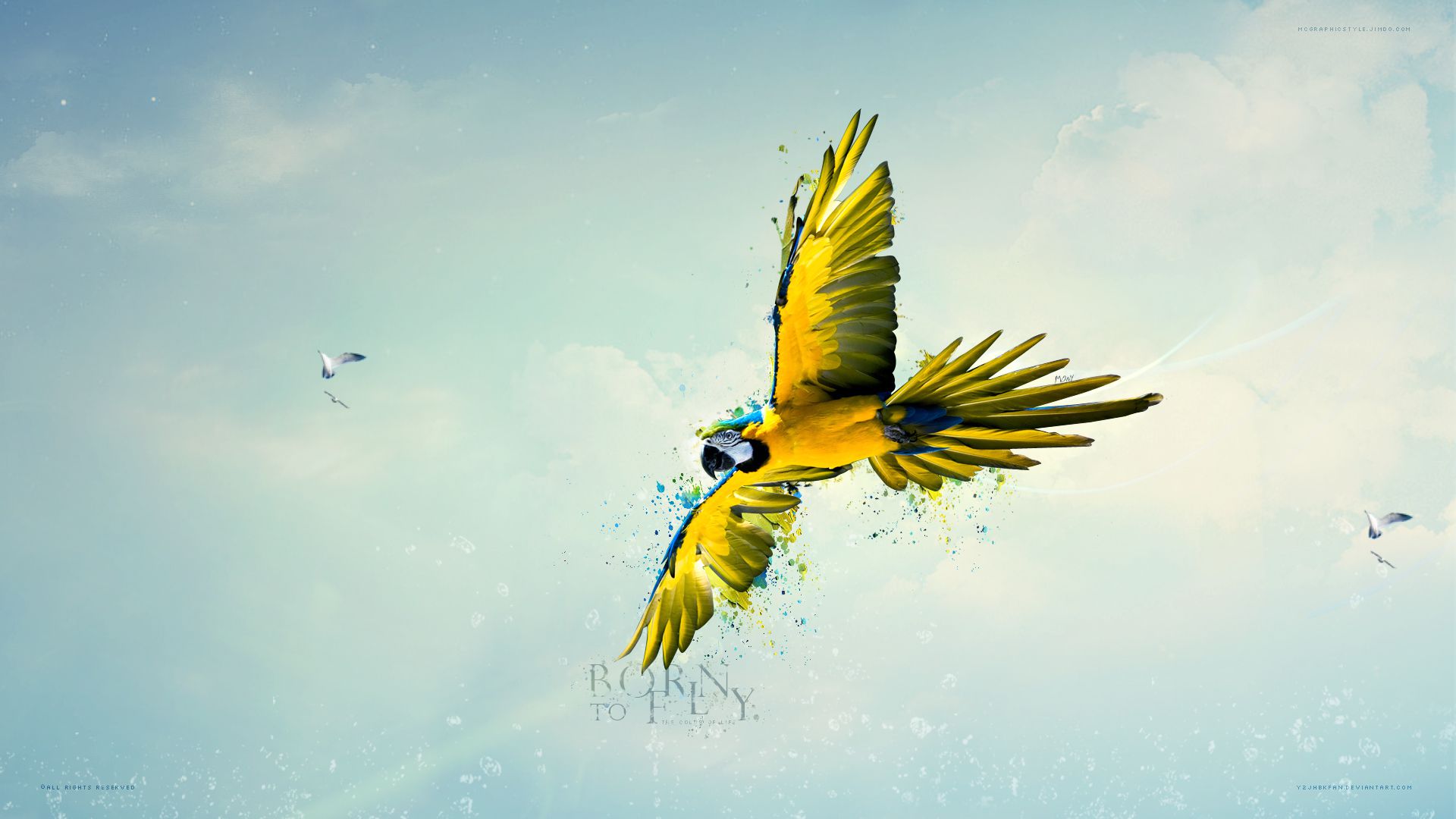 born to fly_1920x1080.jpg