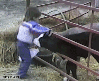 1317922234_kid_drinks_from_milk_bottle_after_calves.gif