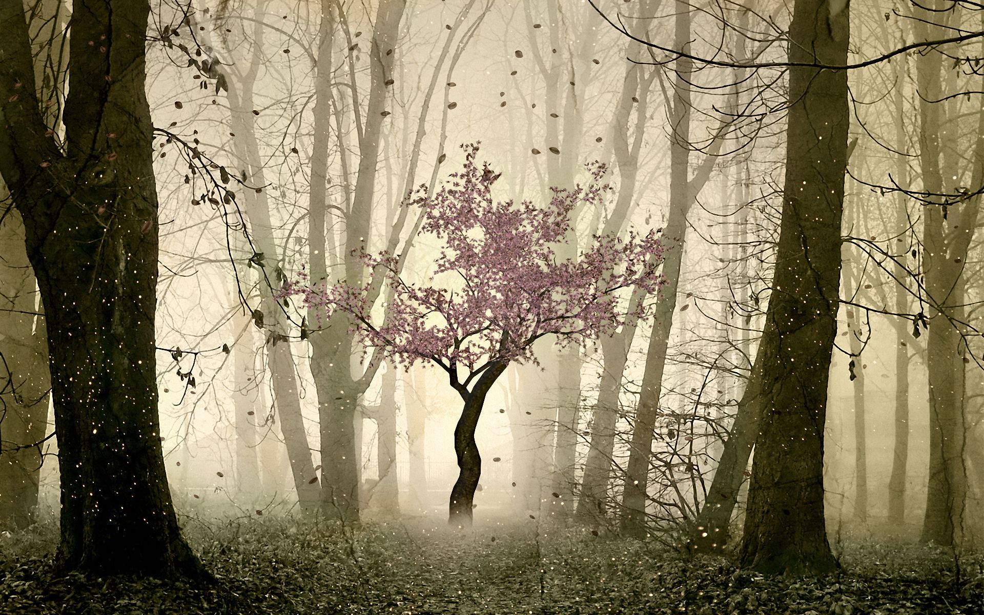 Дерево пейзаж