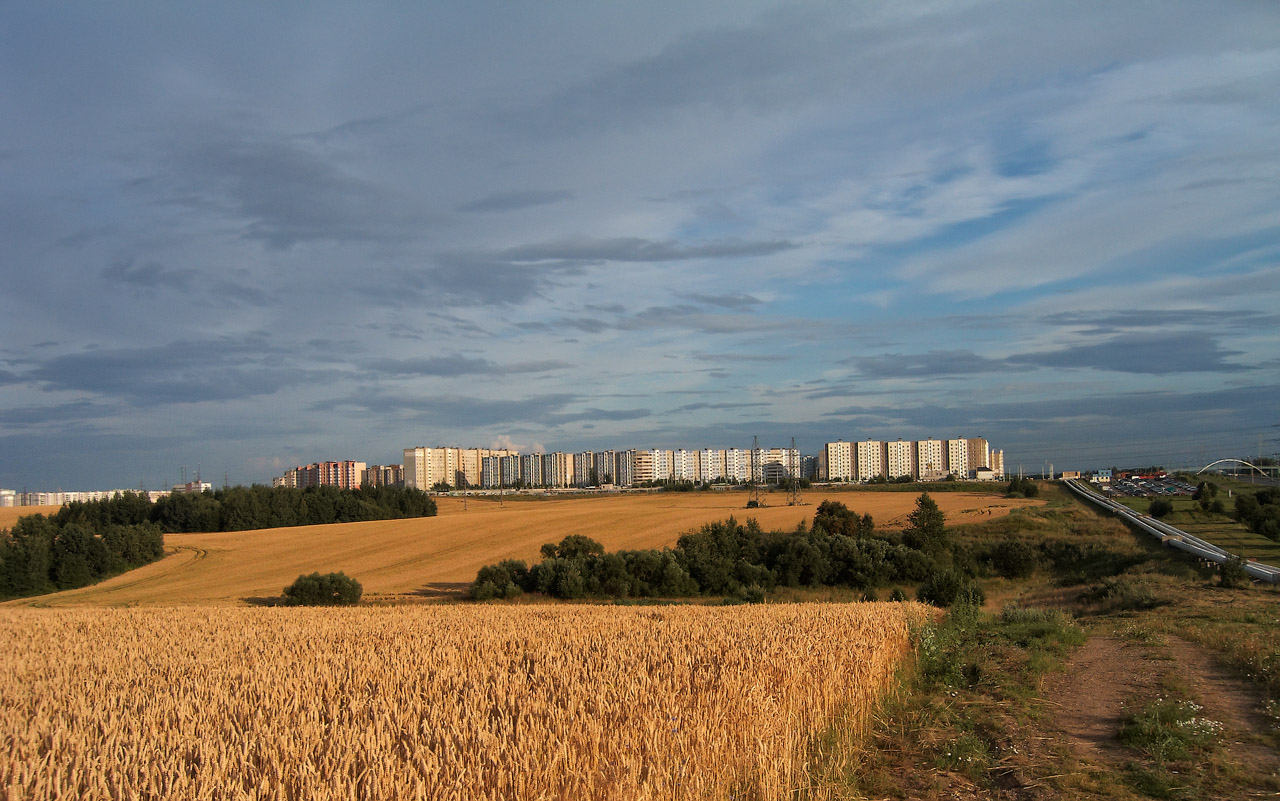 Фото на документы сухарево