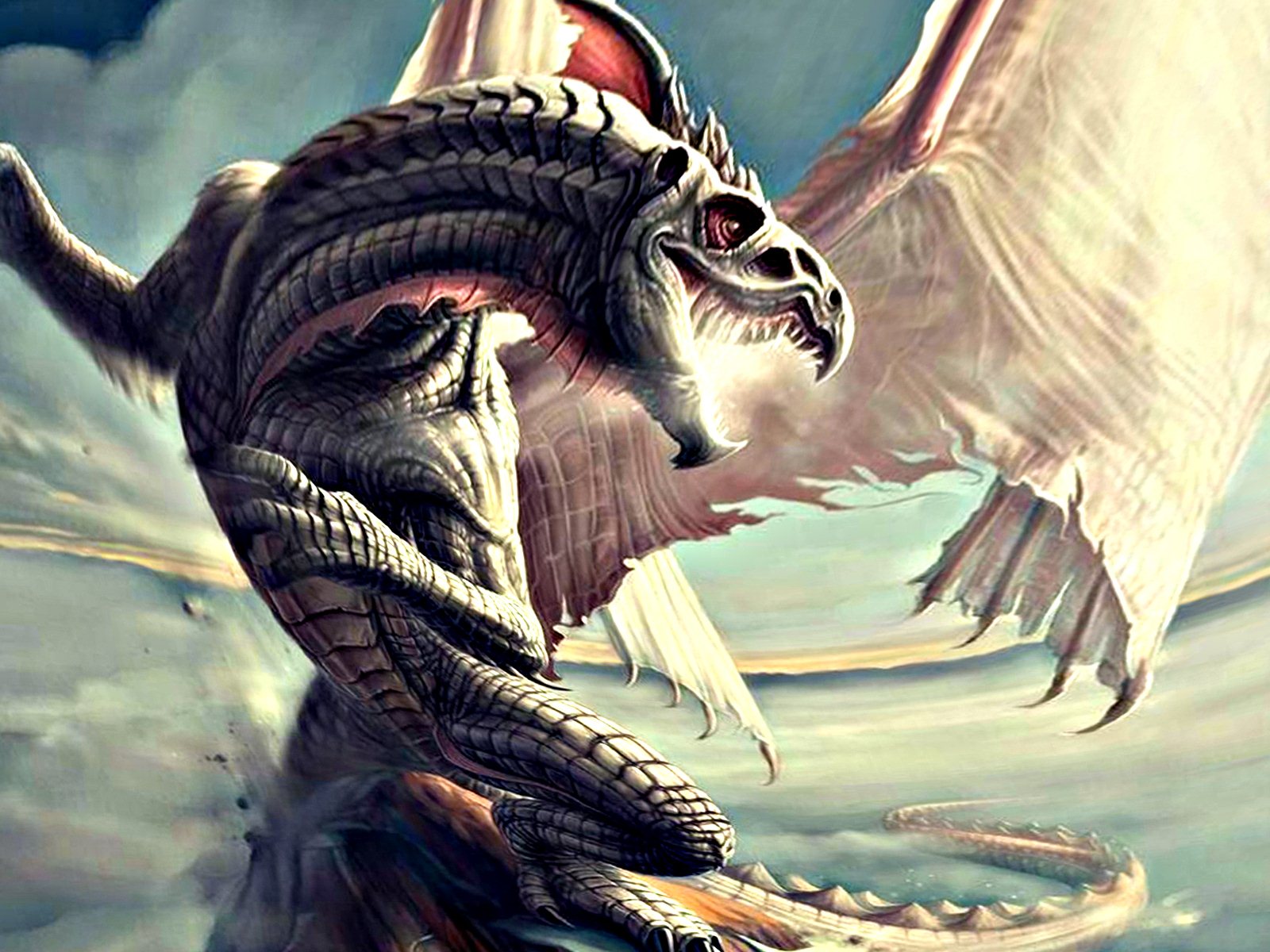 drakon 1(1).jpg