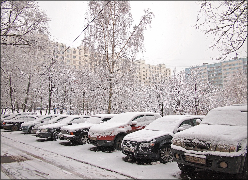 P1013187OV_tn2.jpg