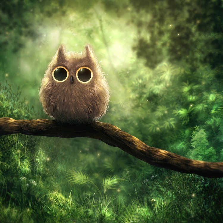 1291231223_owl_by_kikariz-d2zosgx.jpg