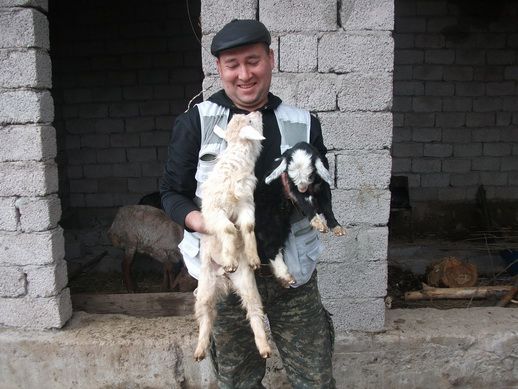 Козочки.jpg