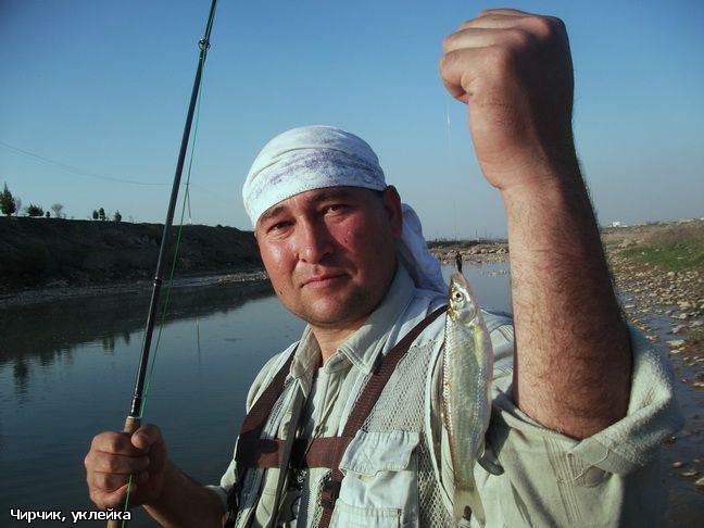 Чирчик уклейка.jpg