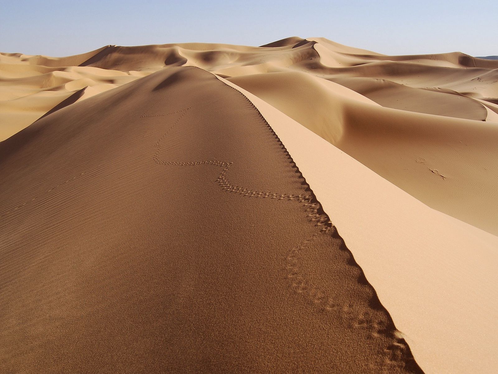 Sahara desert