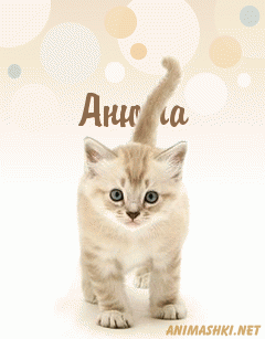 Анюта.gif