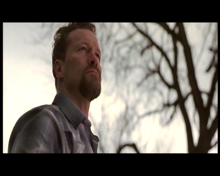 PDVD_009.png