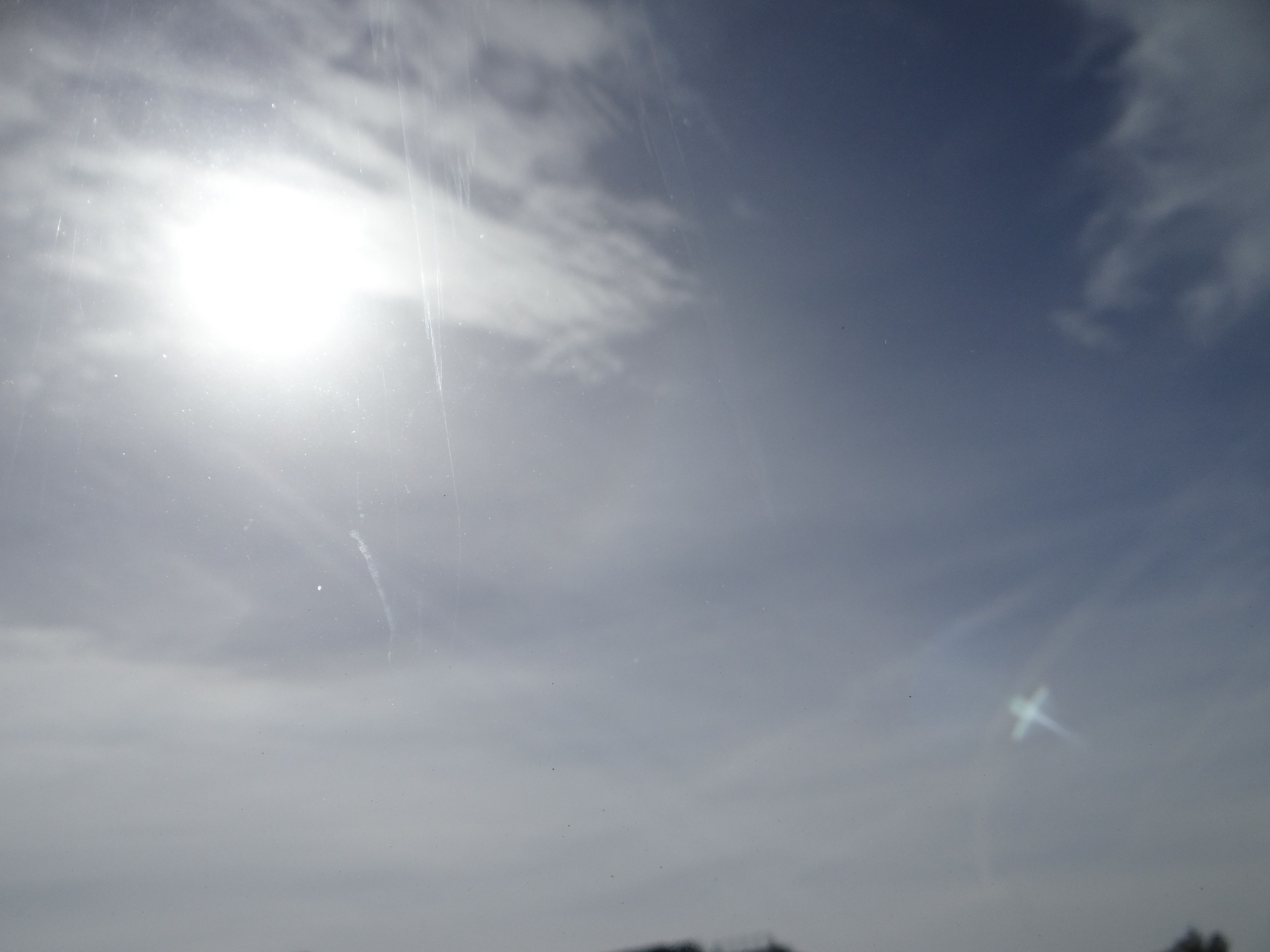DSC05319.JPG