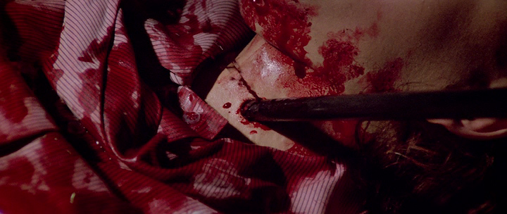 The.House.by.the.Cemetery.1981.bdrip_[1.46]_[teko][(065665)20-20-42].PNG