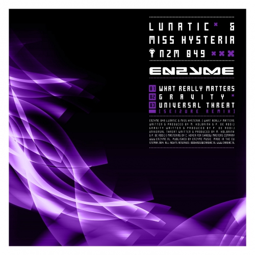00_lunatic_and_miss_hysteria_-_what_really_matters-(enzyme049)-web-2014.jpg