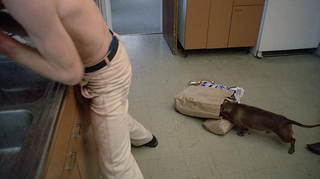 Angst.1983.hdrip_[745]_[teko][(092670)08-07-08].PNG
