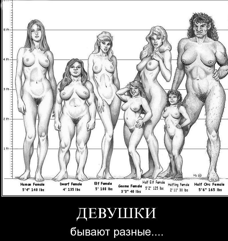 2130615_900.jpg