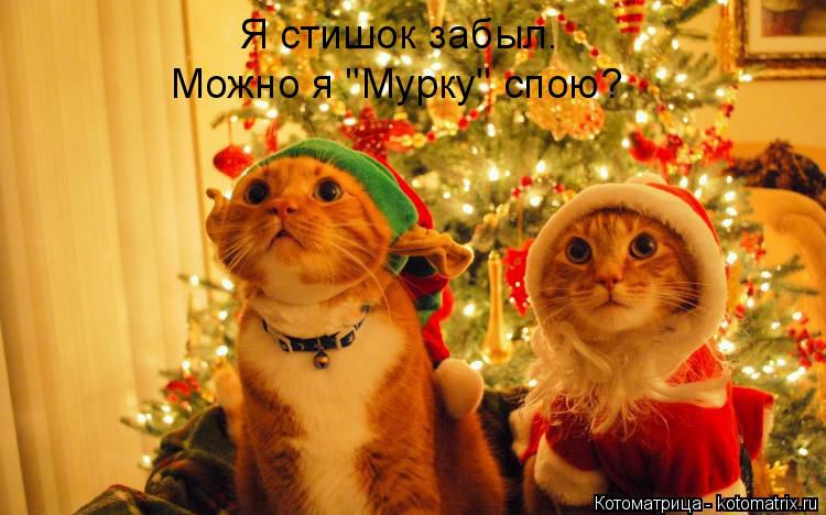 http://i4.imageban.ru/out/2014/12/31/29cd4a37192f5f5675b21a35dda5b452.jpg