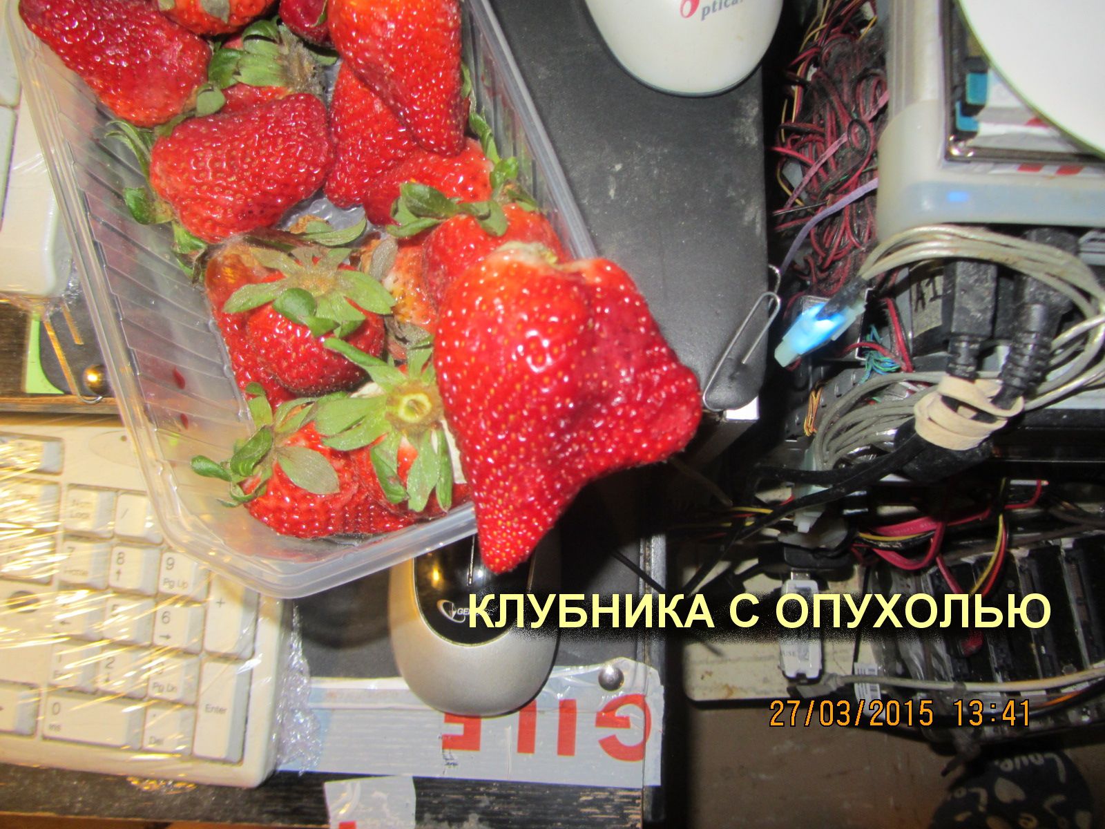 IMG_4575.JPG
