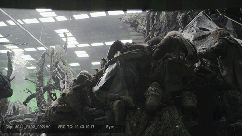 5203614.gif