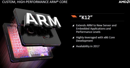 sm.amd_arm_k12.750.jpg