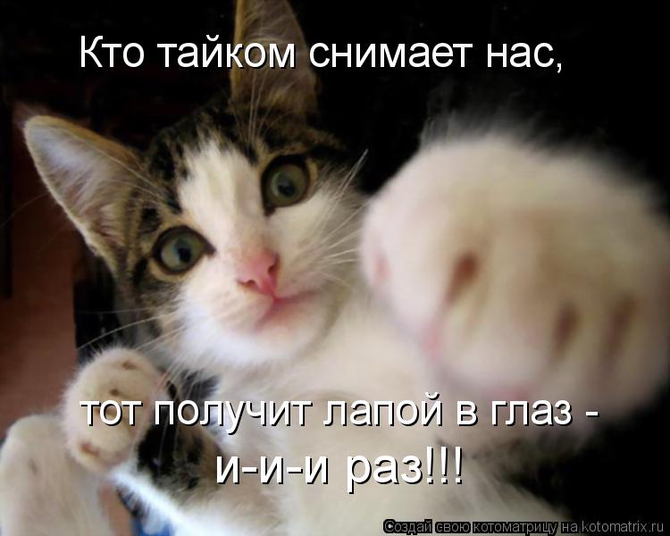https://i4.imageban.ru/out/2015/11/18/a091ba4d9f878b284962e859c30a91a9.jpg