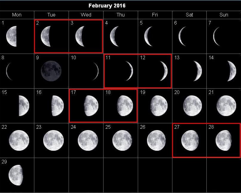 Какая луна была в феврале