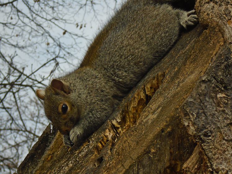 january 31, 2016 smalls-5.jpg