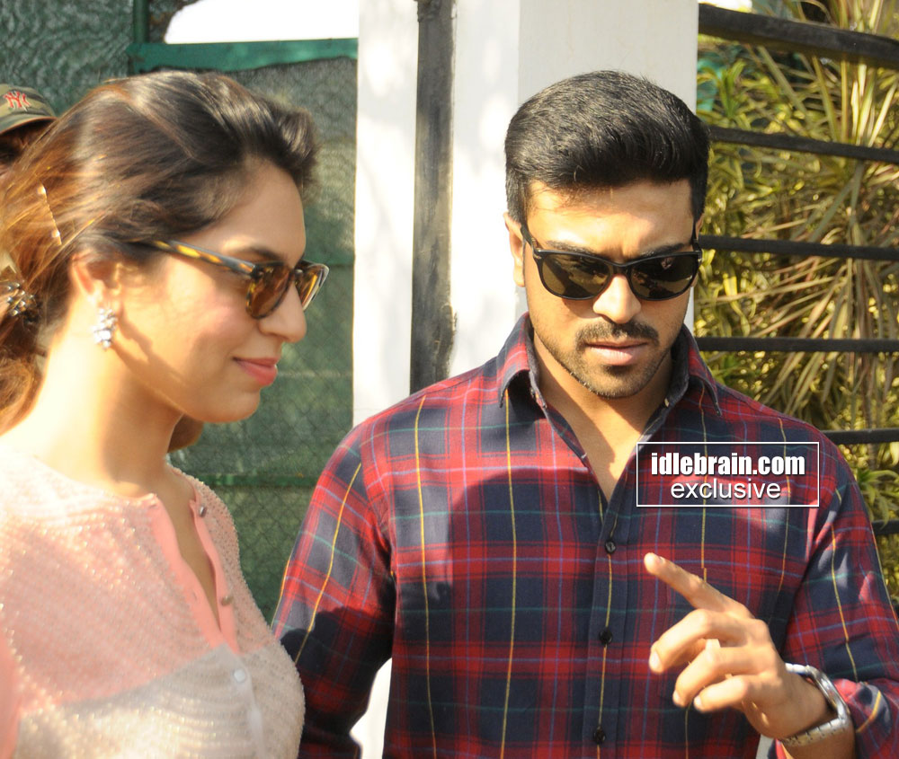 celebrities-ghmcelections201618.jpg