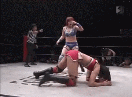 japanese_wrestling_02.gif