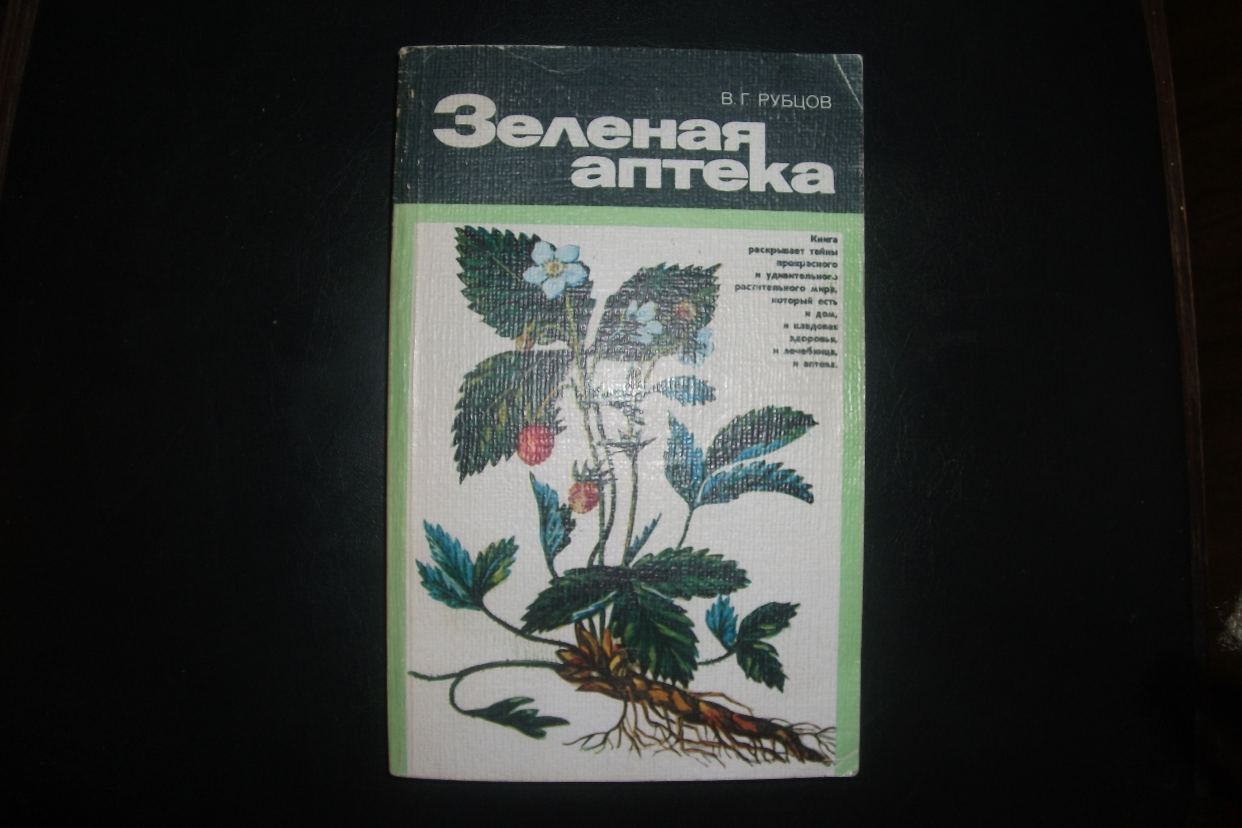 Зеленая аптека 30. Зеленая аптека рубцов. Зеленая аптека книга. Книга Синявский зелёная аптека. Зеленая аптека книжка для детей.