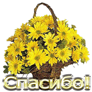 853071621.gif