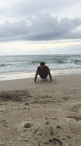 03.gif
