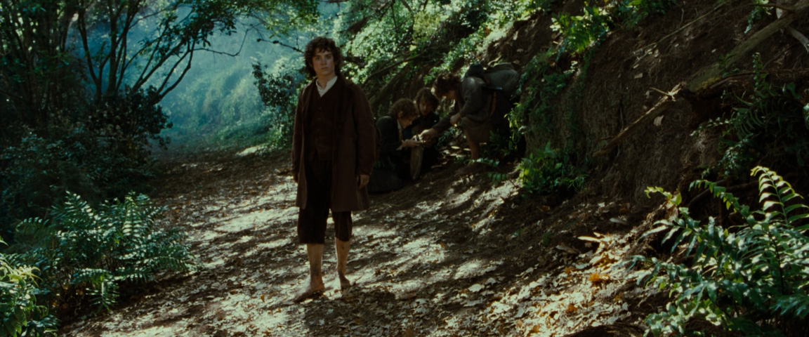 The.Lord.of.the.Rings-The Fellowship.of.the.Ring.2001.Blu-ray.Extended.1080p.AVC.Rus.Eng.mkv076769.png