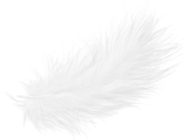 feather_PNG12980.png
