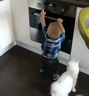 123.gif