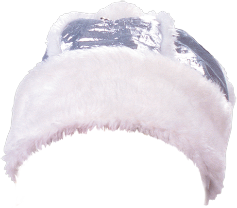 DenSvi.com_ChristmasHats (11).png