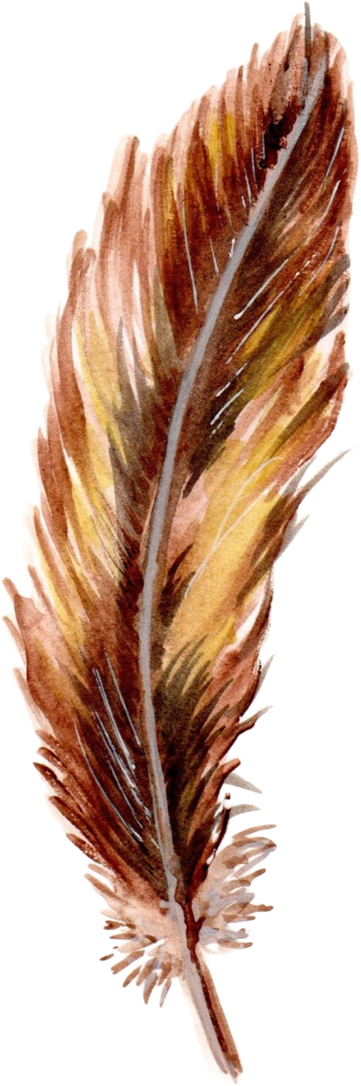 Feathers-10.png