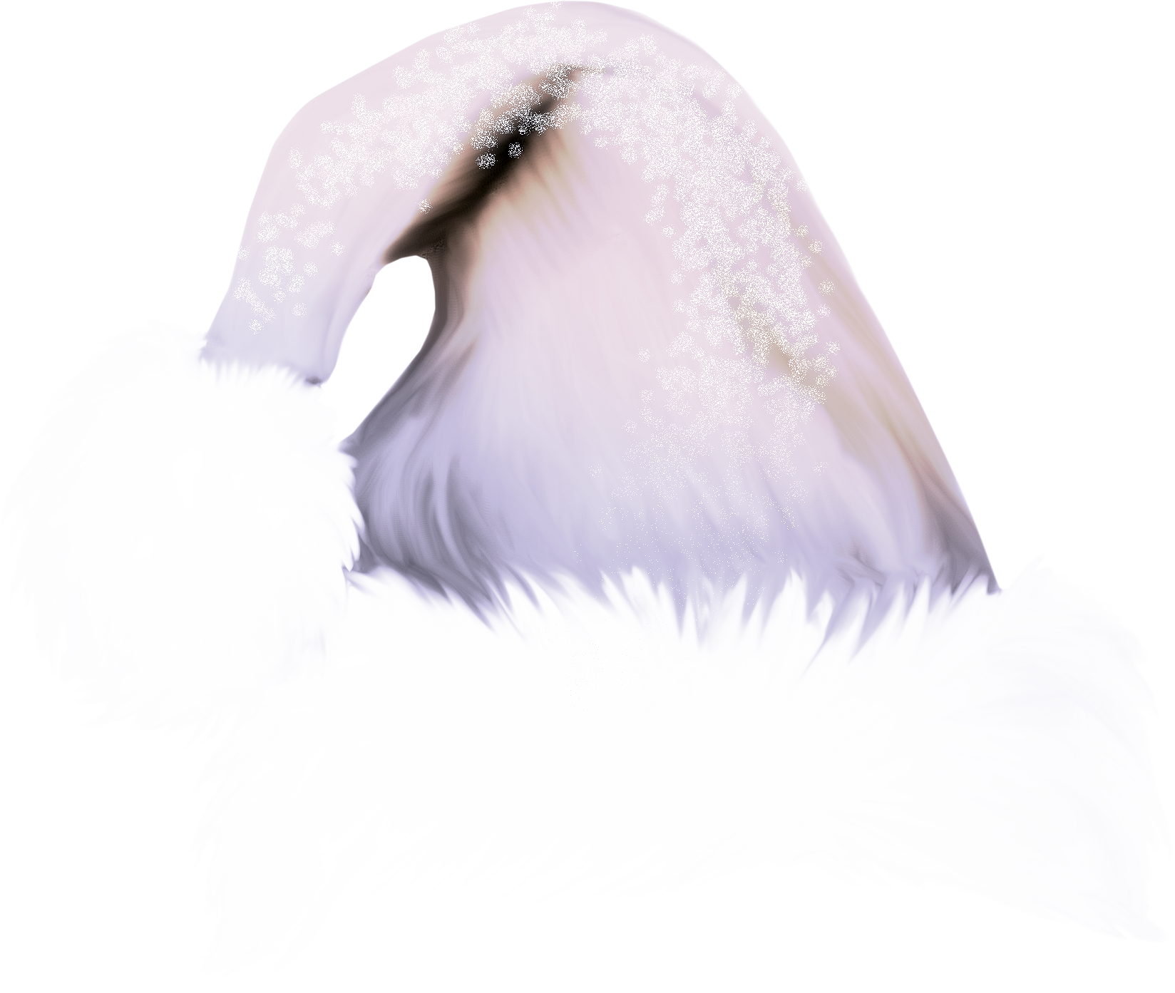 DenSvi.com_ChristmasHats (73).png