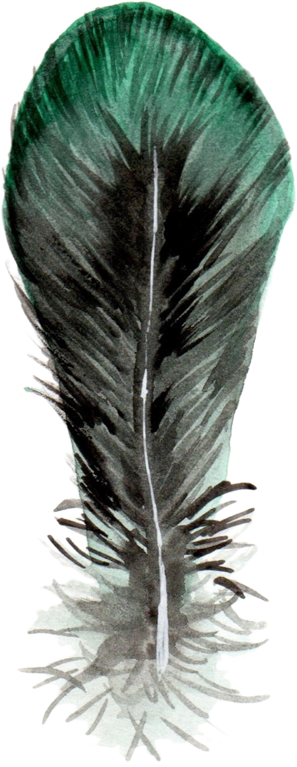 Feathers-09.png