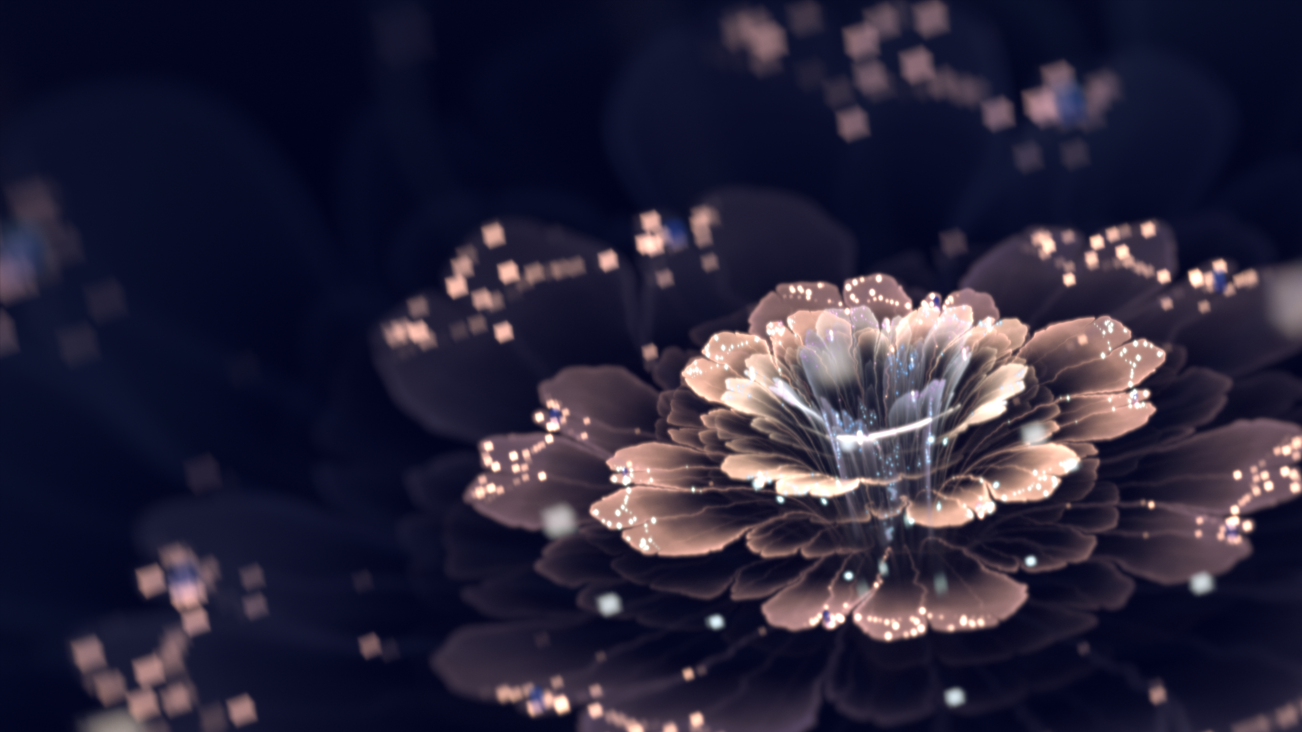 digital-art-cgi-fractal-flowers-fractal-lights-dark-2560x1440.png