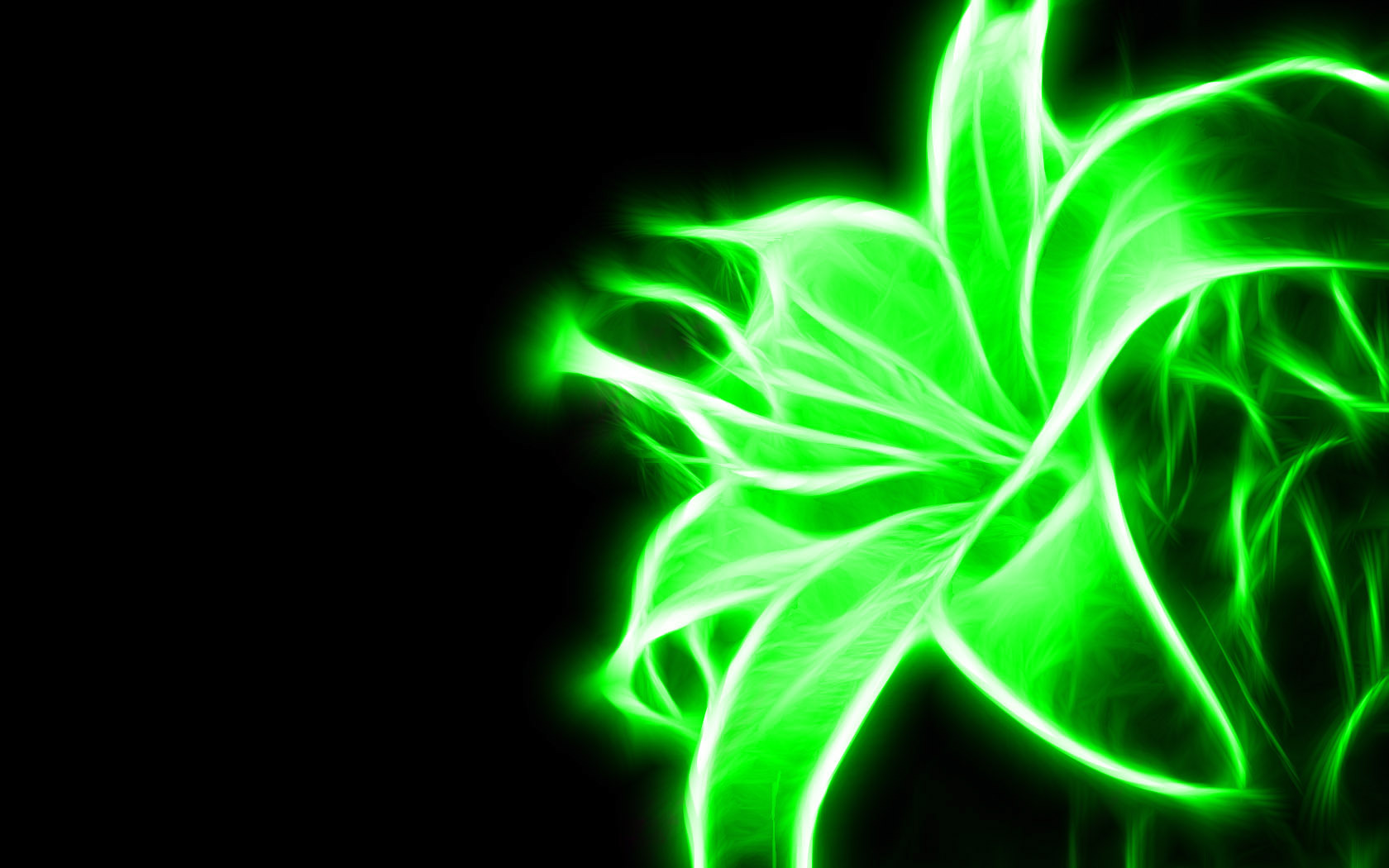 neon-flowers-green-1680x1050.jpg